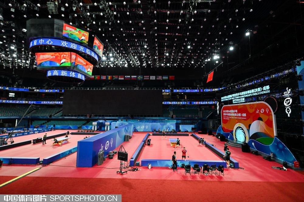 综合体育体育文化专题 竞技精神与历史传承